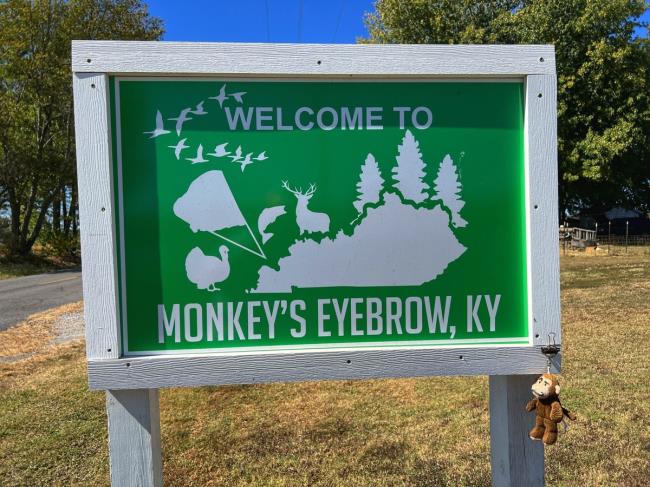 30-facts-a<em></em>bout-monkeys-eyebrow-kentucky-city